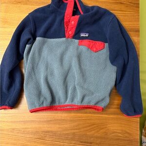 Patagonia Blue and Red Synchilla Snap-T